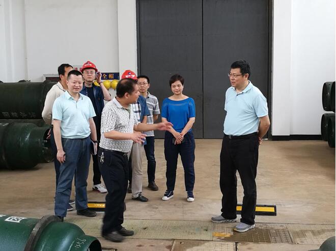 城投公司纪委书记荣巩等一行调研琴断口水厂升级改扩建工作
