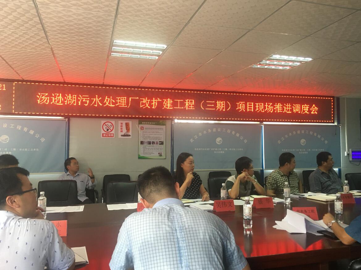 城投公司副总经理盛华莅临汤逊湖污水处理厂改扩建工程（三期）项目部指导工作