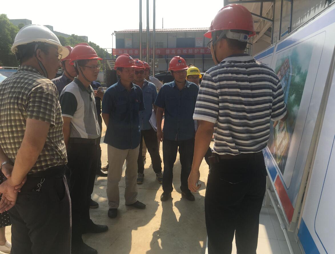 城投公司副总经理盛华莅临汤逊湖污水处理厂改扩建工程（三期）项目部指导工作