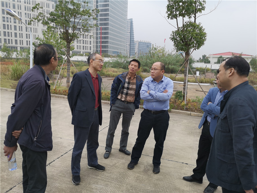 城投公司副总经理王贤兵调研汤逊湖污水处理厂改扩建三期项目及高新六路扩建项目