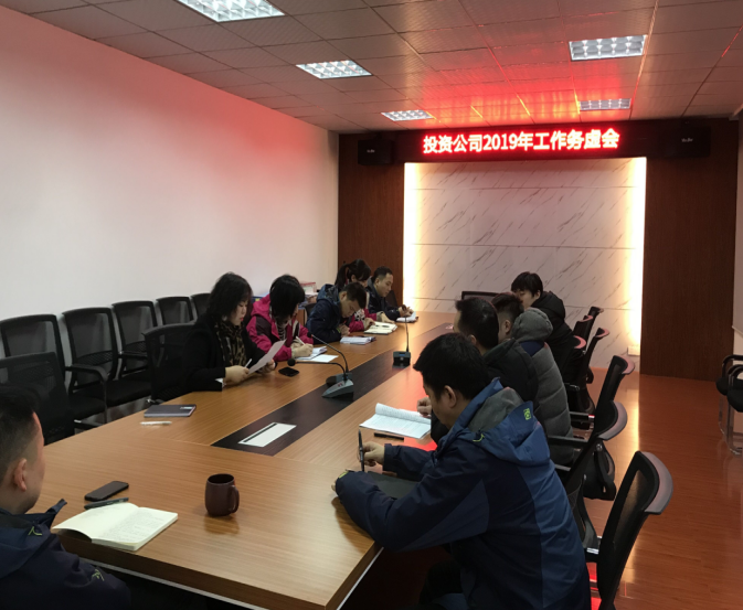 集思广益 共谋新篇章 --投资公司召开2019年工作务虚会