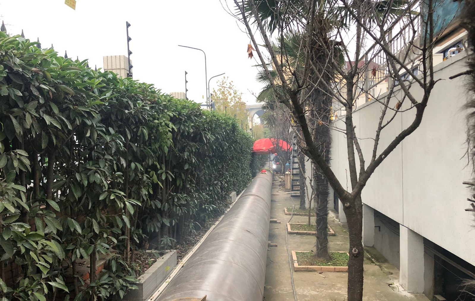 平湖门水厂功能调整配套给水管道工程提前完工