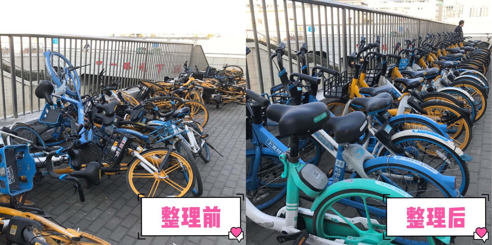 二次供水工程公司开展整理共享单车志愿服务行动