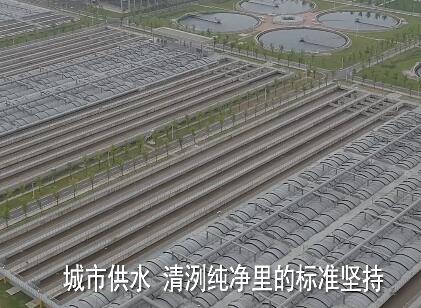 廉洁宣传视频