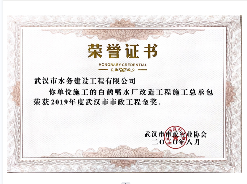 2020年8月  武汉市政工程金奖