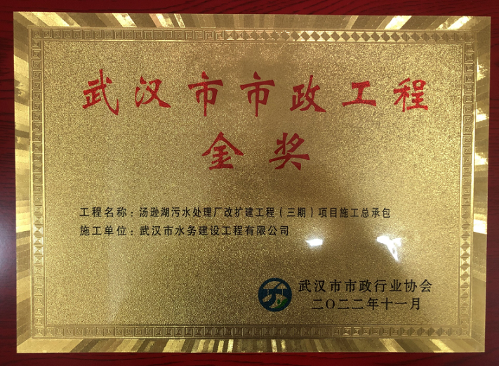 2022年11月  武汉市政工程金奖